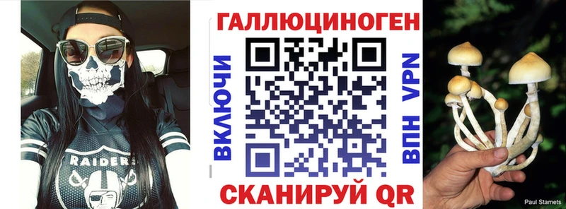 Псилоцибиновые грибы Cubensis  наркошоп  Малая Вишера 